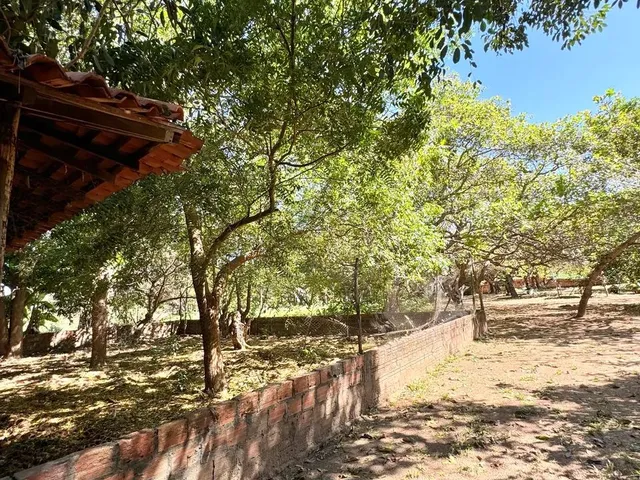 Imagem 11: Sitio a Venda no Bairro Verdecap Todo Murado