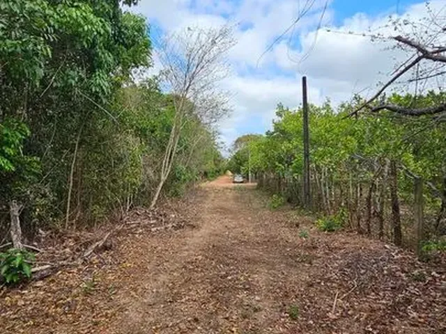 Imagem: Vendo 20 Hectares, Terreno na Br343, Entre