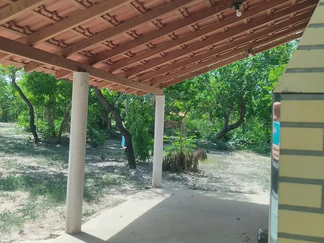 Imagem 7: Sitio no Joia, Timon, Bom Viver