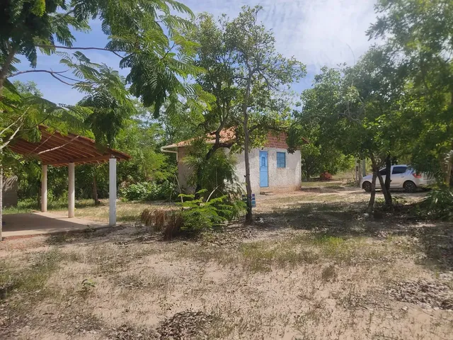 Imagem 8: Sitio no Joia, Timon, Bom Viver