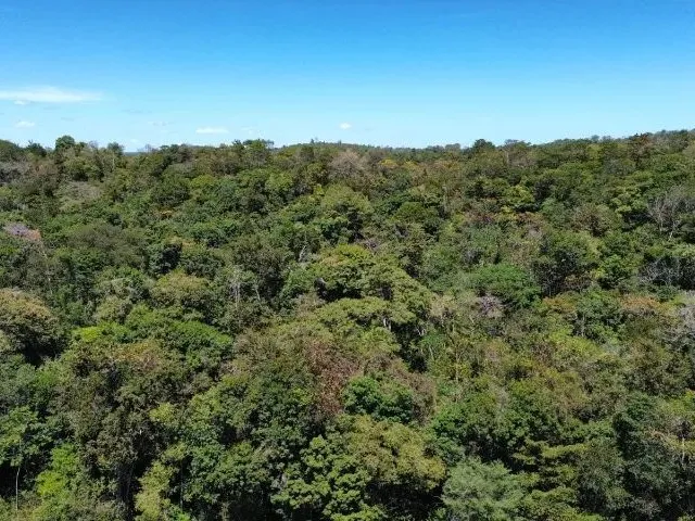 Imagem 7: Terreno Gleba Br-343 Teresina a Altos em Teresina-Pi