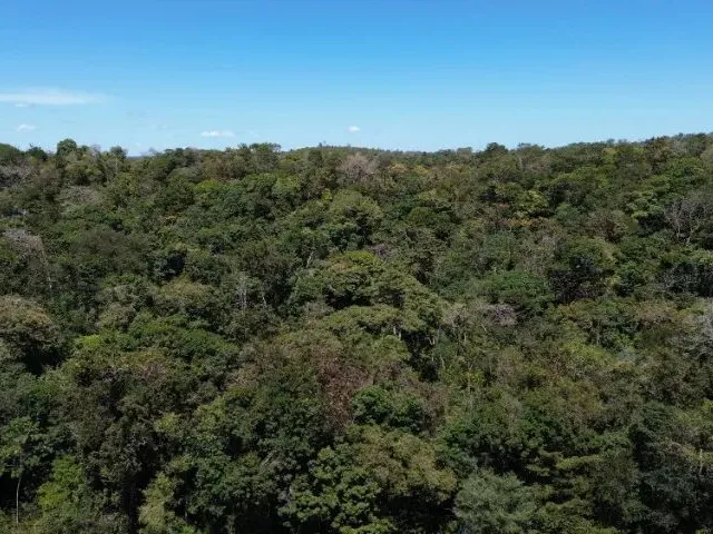 Imagem 10: Terreno Gleba Br-343 Teresina a Altos em Teresina-Pi