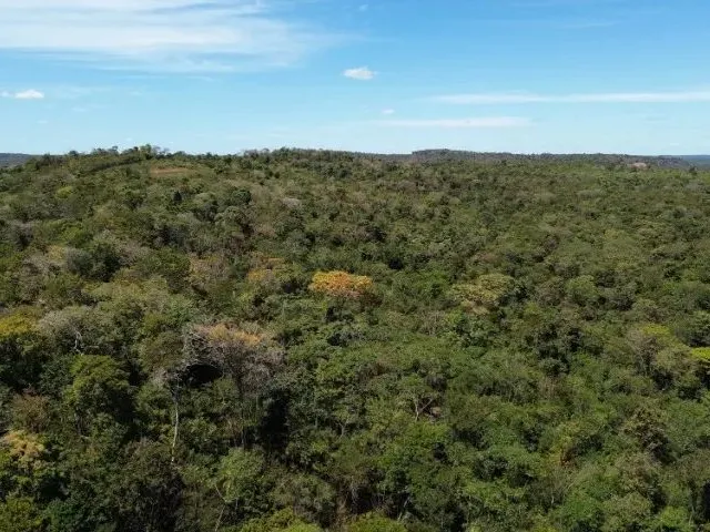 Imagem 12: Terreno Gleba Br-343 Teresina a Altos em Teresina-Pi
