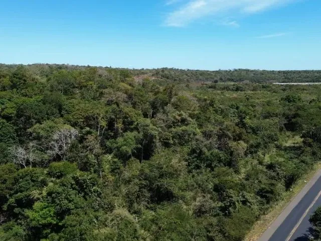 Imagem 11: Terreno Gleba Br-343 Teresina a Altos em Teresina-Pi