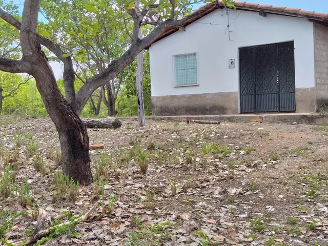 Imagem: Sítio na Zona Sul