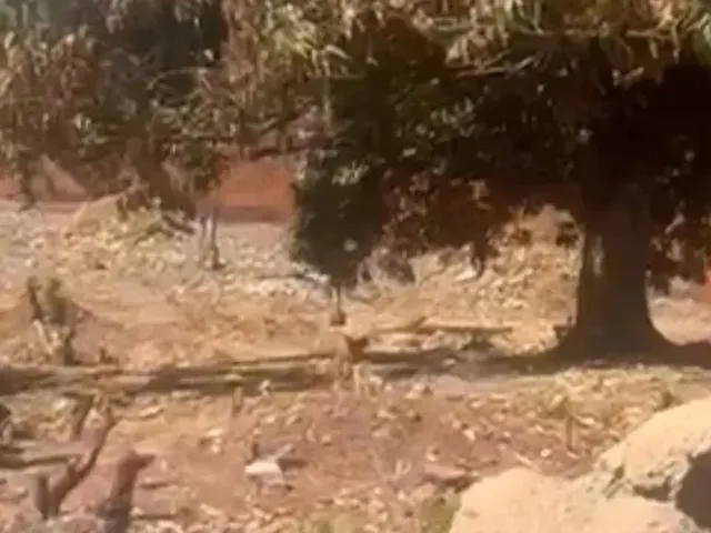 Imagem: Terreno Pertinho da Kennedy no Bairro Socopo