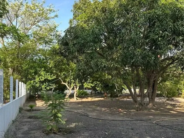 Imagem 3: Imóvel para Venda Possui 90 Metros Quadrados com 2 Quartos em Área Rural de Teresina