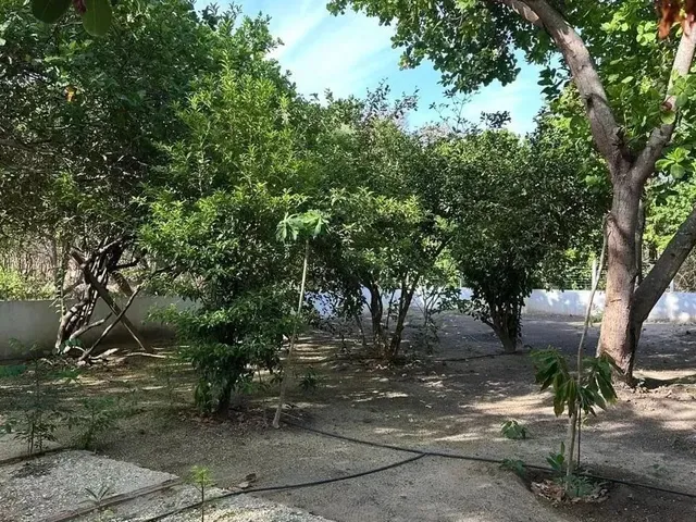 Imagem 4: Imóvel para Venda Possui 90 Metros Quadrados com 2 Quartos em Área Rural de Teresina