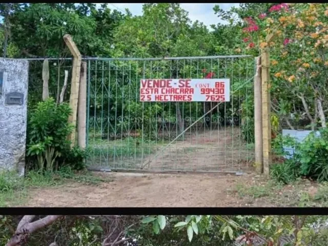 Imagem 2: Chacara, Completa a Venda 180 Mil