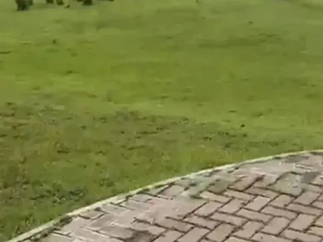 Imagem 7: Terreno no Aldebaran Leste Condomínio Fechado com Ampla Área de Lazer e Um Belíssimo