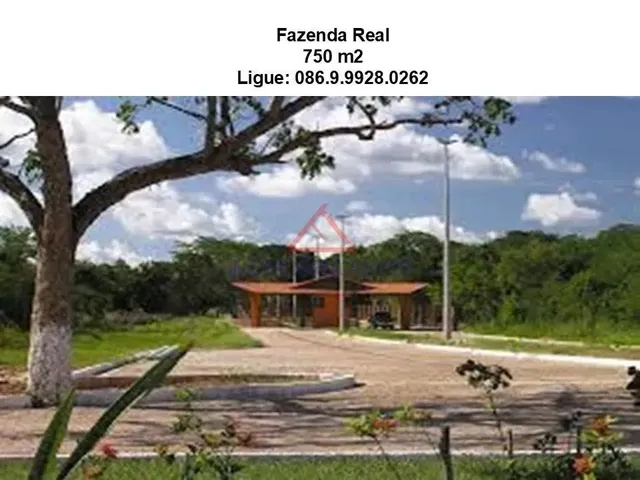 Imagem 7: Terreno em Zona Rural - Teresina