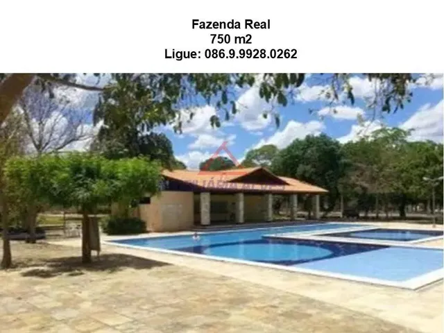 Imagem 5: Terreno em Zona Rural - Teresina