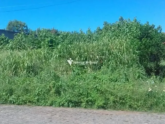 Imagem: Terrenos a Venda no Bairro Ininga