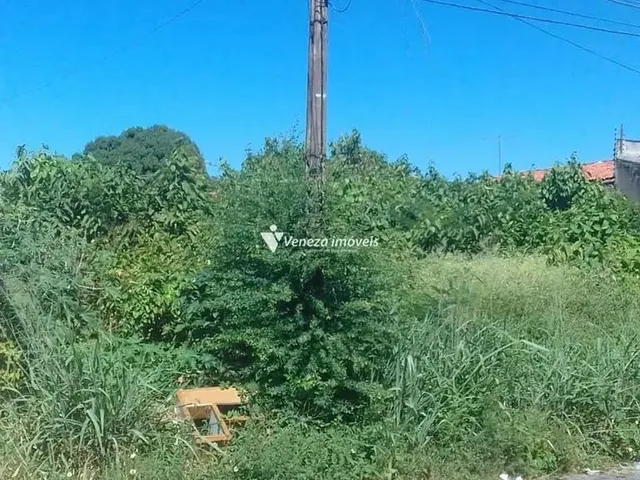 Imagem 4: Terrenos a Venda no Bairro Ininga