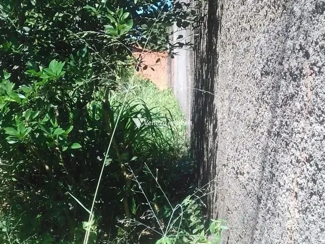 Imagem 2: Terrenos a Venda no Bairro Ininga