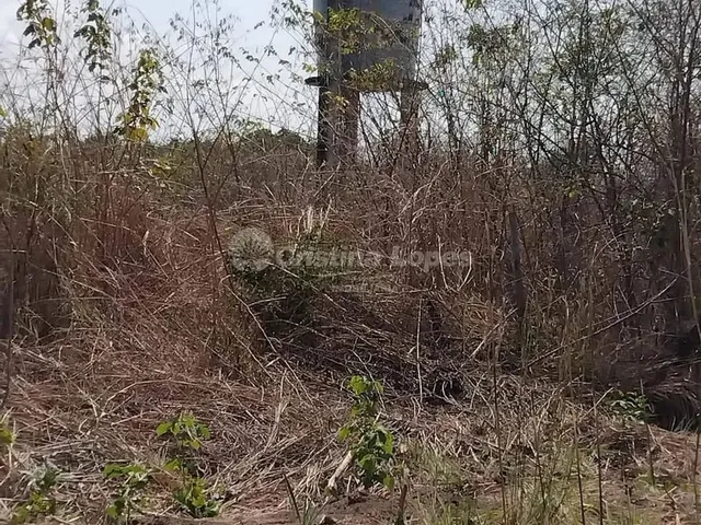 Imagem 11: Sítio À Venda, Esplanada, Teresina, Pi