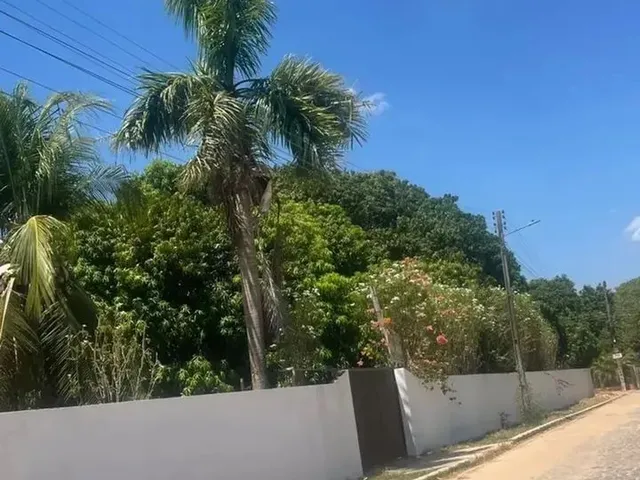 Imagem: Imóvel para Venda com 4354 Metros Quadrados