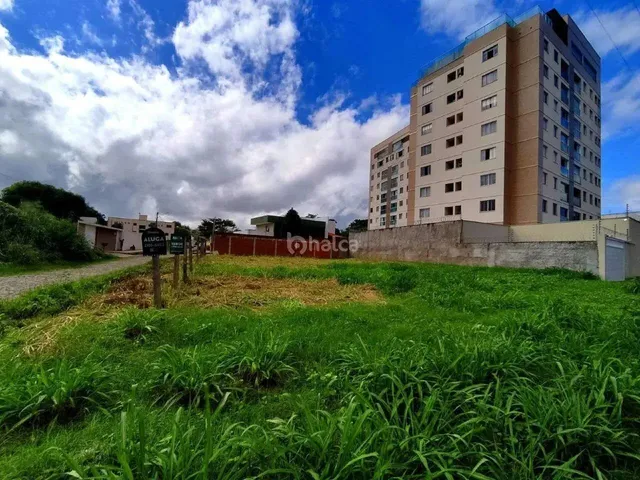 Imagem 2: Lote/Terreno para Aluguel, no Bairro Ininga, Teresina/Pi