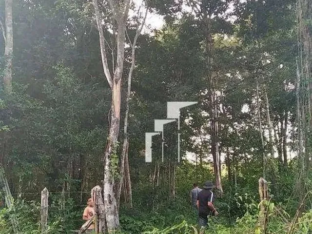 Imagem: Terreno no Morro do Papagaio