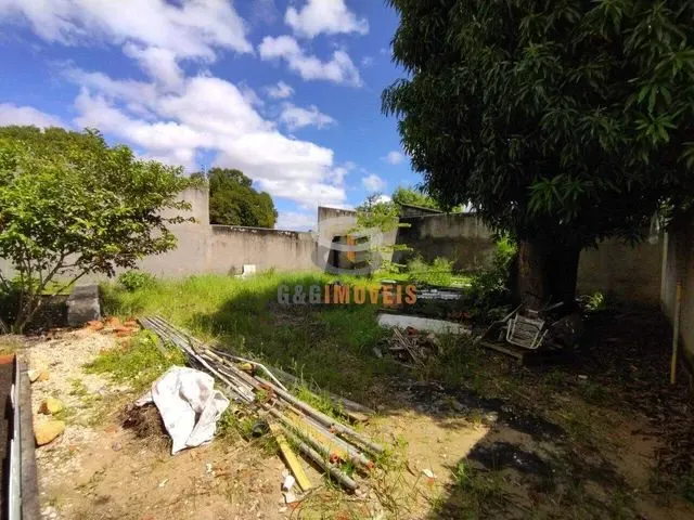 Imagem 7: Terreno - Aluguel