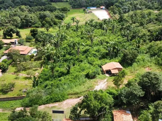 Imagem 5: Sitio Á Venda Zona Sudeste de Teresina Próximo Estrada das Sete Ladeira, 1.2 Hectares