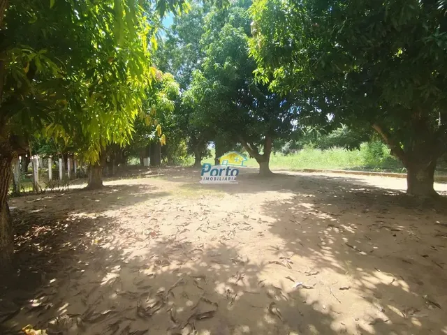 Imagem 4: Sítio com Piscina, 4 Quartos para Locação, Mede 1 Hectare, Estrada Usina Santana