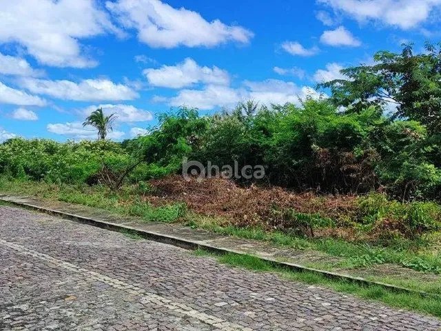 Imagem 5: Lote/Terreno À Venda, no Bairro Gurupi, Teresina/Pi