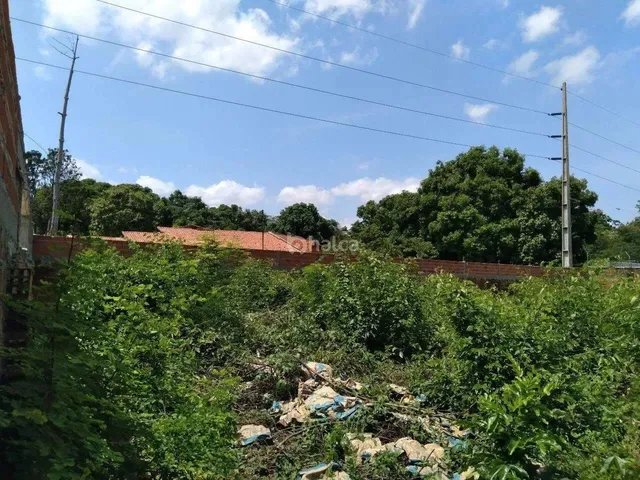 Imagem 2: Lote/Terreno para Aluguel, no Bairro Morros, Teresina/Pi