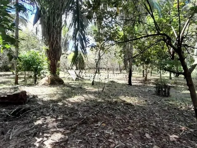 Imagem 3: Sitio na Estrada da Usina Santana a Venda