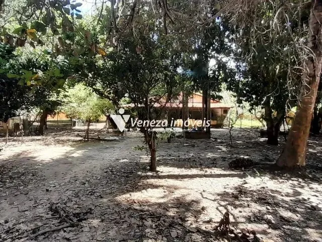 Imagem 6: Sitio na Estrada da Usina Santana a Venda