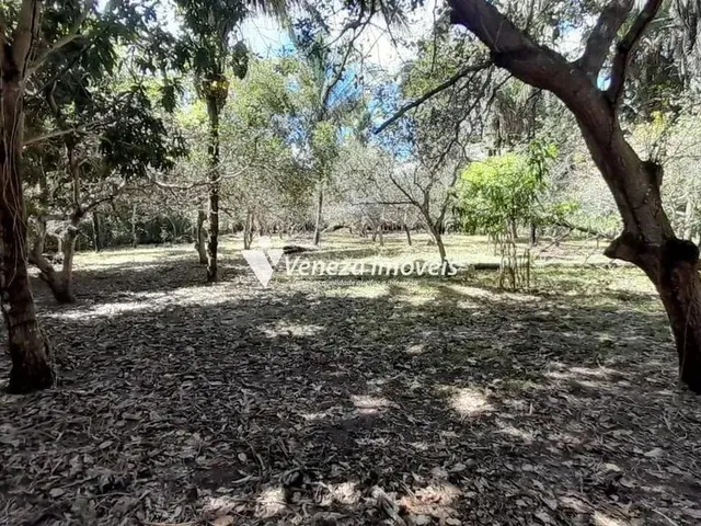 Imagem 2: Sitio na Estrada da Usina Santana a Venda