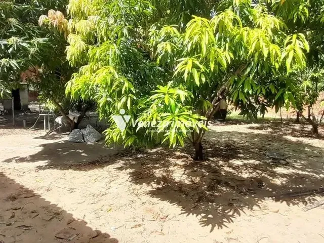 Imagem 7: Sitio na Estrada da Usina Santana a Venda