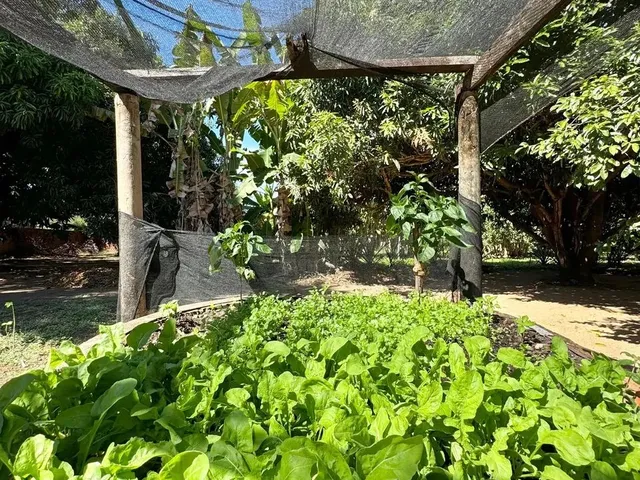 Imagem 16: La - Imóvel para Venda com 10562 Metros Quadrados com 3 Quartos em Verdecap - Teresina