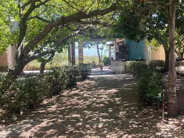 Imagem 6: Sítio À Venda, Brasilar, Teresina, Pi