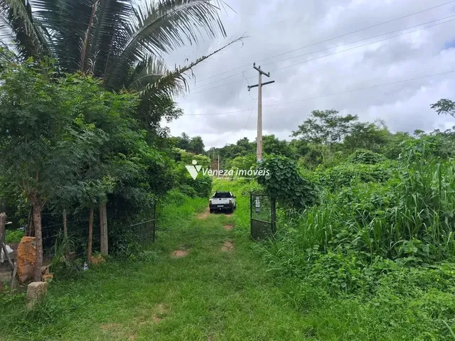 Imagem 14: Sitio para Venda Estrada Vale Quem Tem