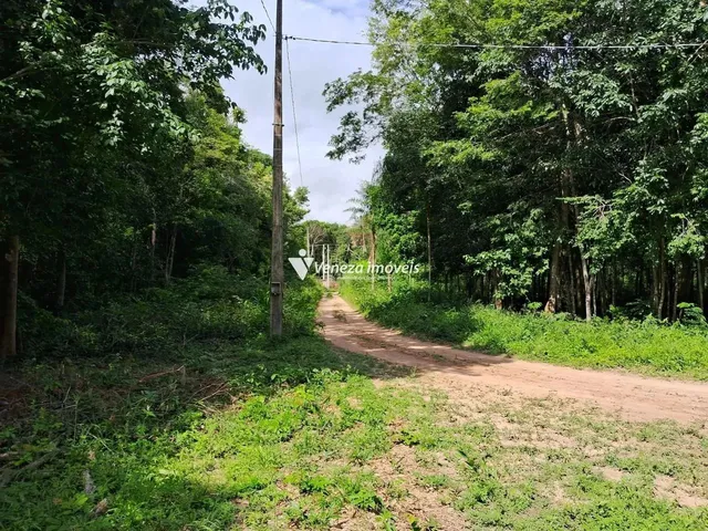 Imagem 5: Sitio para Venda Estrada Vale Quem Tem
