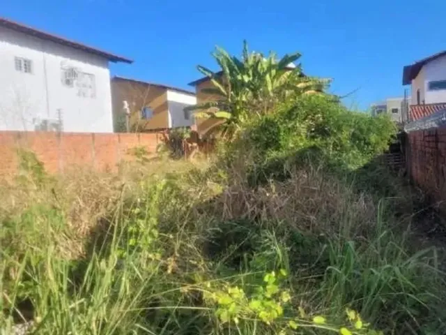 Imagem 4: Lote/Terreno para Aluguel, Ininga - Teresina/Pi