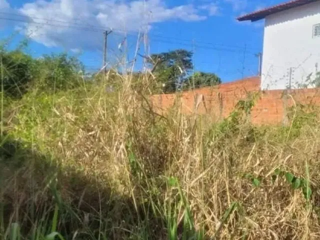 Imagem 2: Lote/Terreno para Aluguel, Ininga - Teresina/Pi