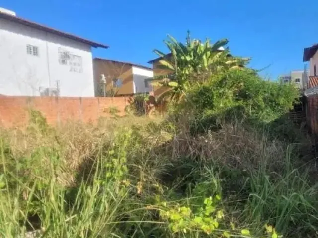 Imagem 5: Lote/Terreno para Aluguel, Ininga - Teresina/Pi