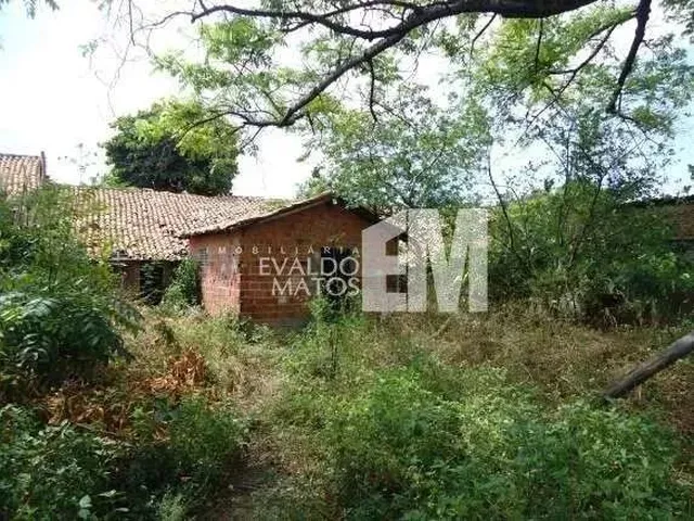 Imagem 4: Lote À Venda, Matinha - Teresina/Pi