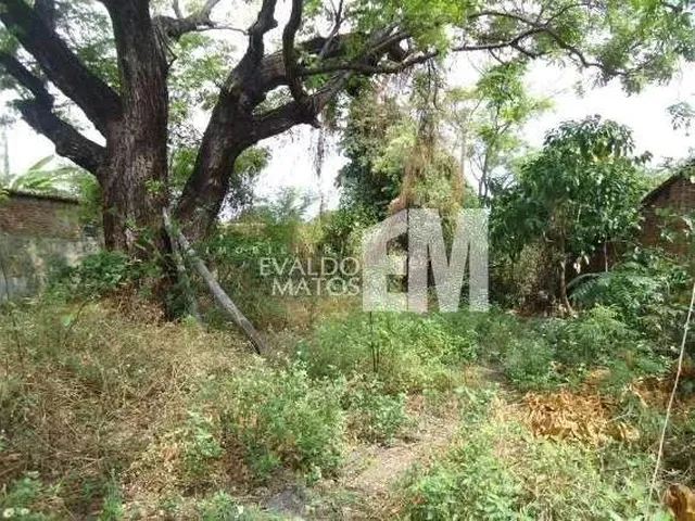 Imagem 2: Lote À Venda, Matinha - Teresina/Pi