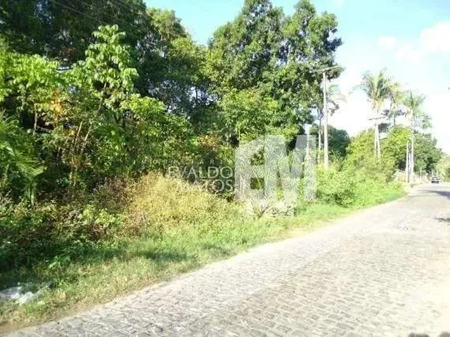 Imagem 2: Lote para Aluguel,Morros - Teresina/Pi