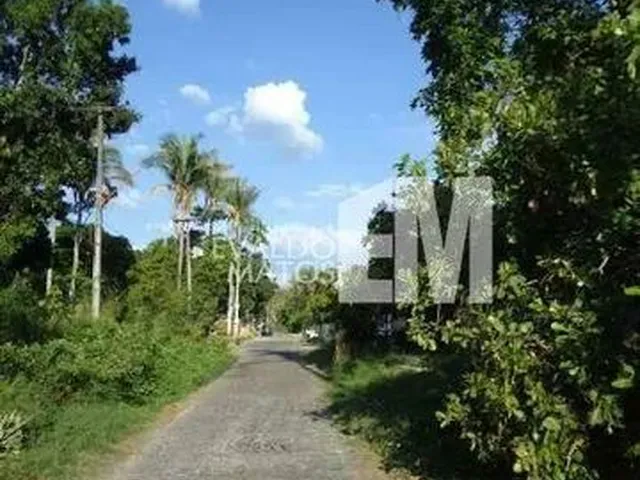 Imagem 3: Lote para Aluguel,Morros - Teresina/Pi