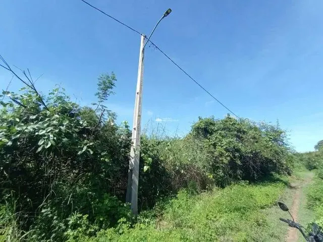 Imagem: R. Projetada - Bairro - Brasilar