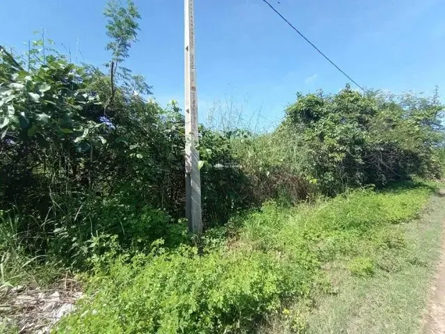 Imagem 6: R. Projetada - Bairro - Brasilar