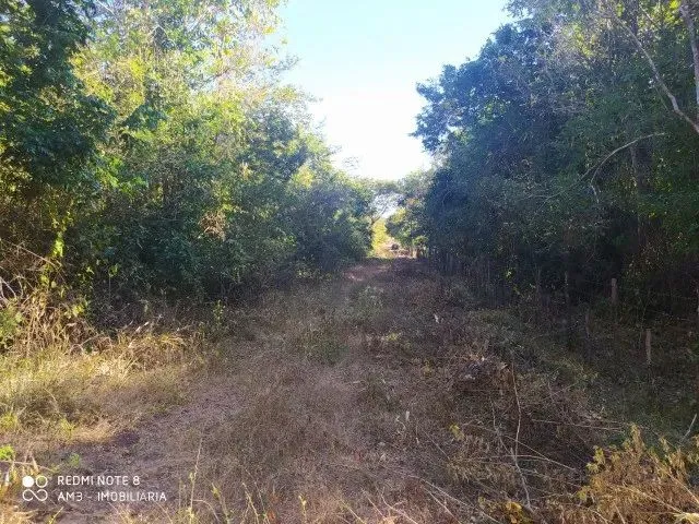 Imagem 6: Área com 13 Hectares para Sítios Ou Loteamentos, a 23 Km de Teresina Após o Rodoanel