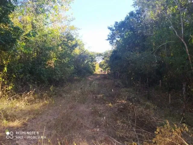 Imagem 3: Área com 13 Hectares para Sítios Ou Loteamentos, a 23 Km de Teresina Após o Rodoanel