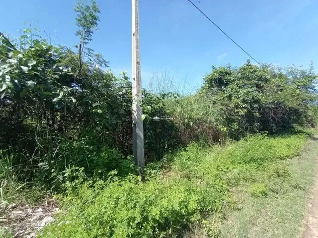 Imagem 3: Rua Projetada - Bairro: Brasilar