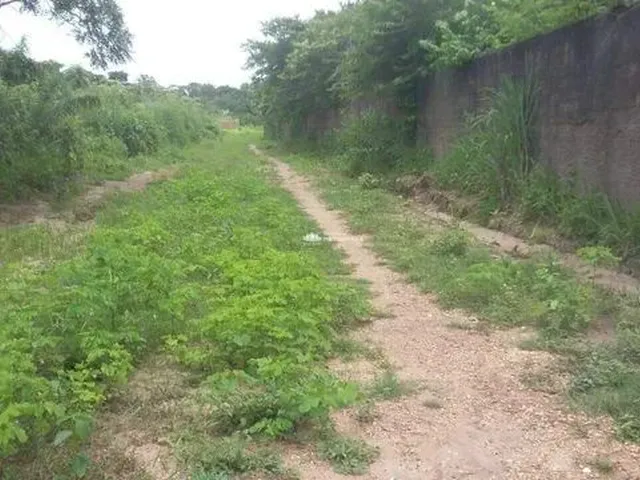 Imagem 4: Rua Projetada - Bairro: Brasilar
