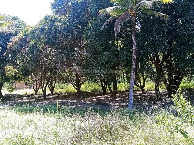 Imagem: Sítio À Venda, Pov. Campestre, Teresina